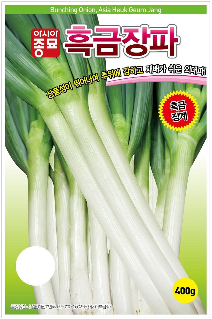 씨앗드림님의 장터 판매 상품 [대파 흑금장 80그램] 첨부 사진