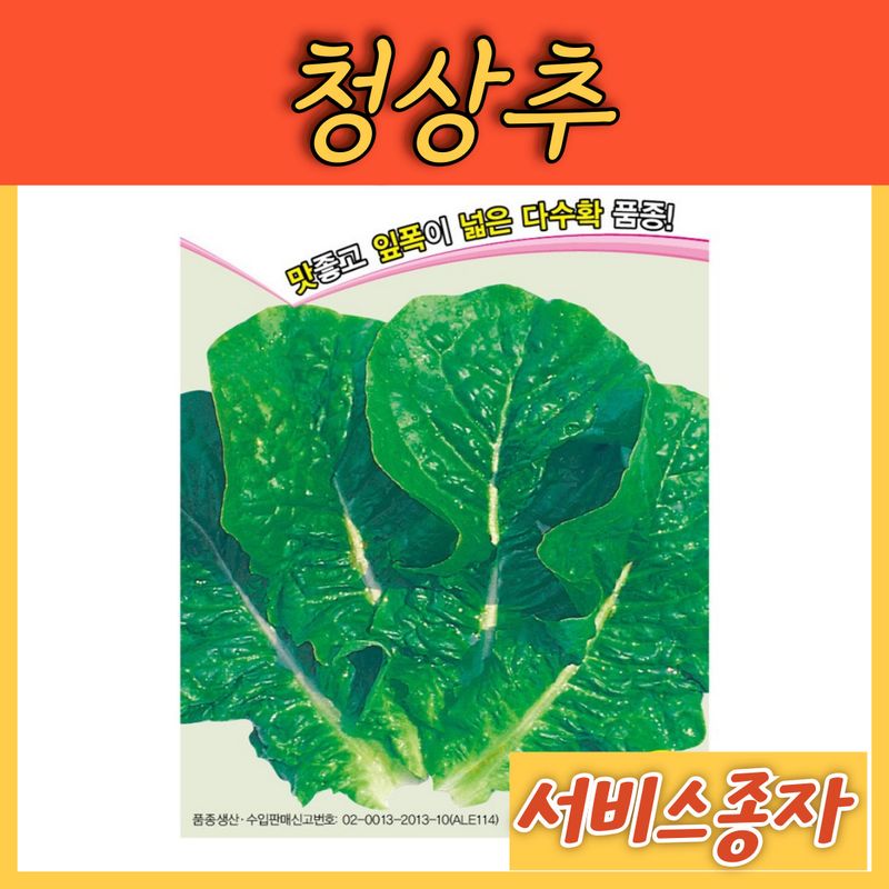 장터 상품 [청상추 청치마 3000립] 썸네일