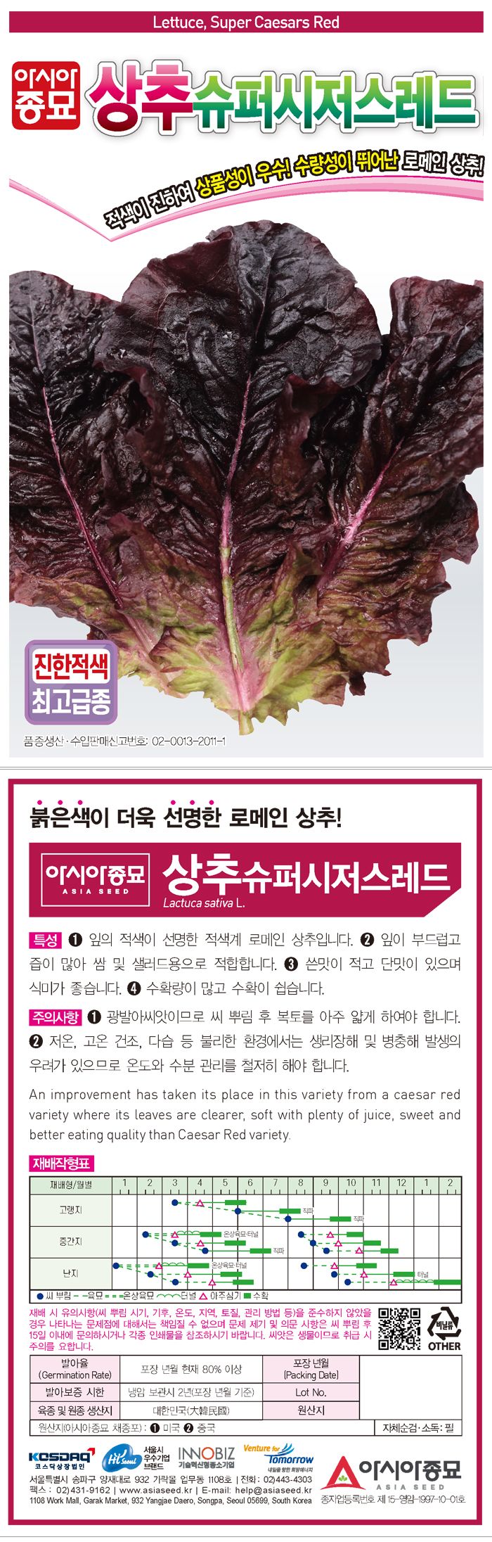 씨앗드림님의 장터 판매 상품 [적로메인 아삭이 상추 1000립] 첨부 사진