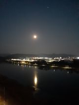 팜모닝 자유주제·자유게시판 게시글 이미지