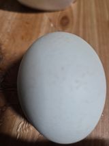 팜모닝 · 게시글 이미지