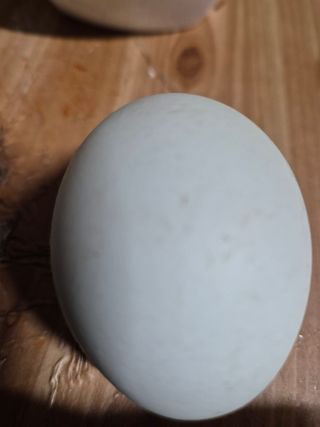 귤19190님의 작성글 사진