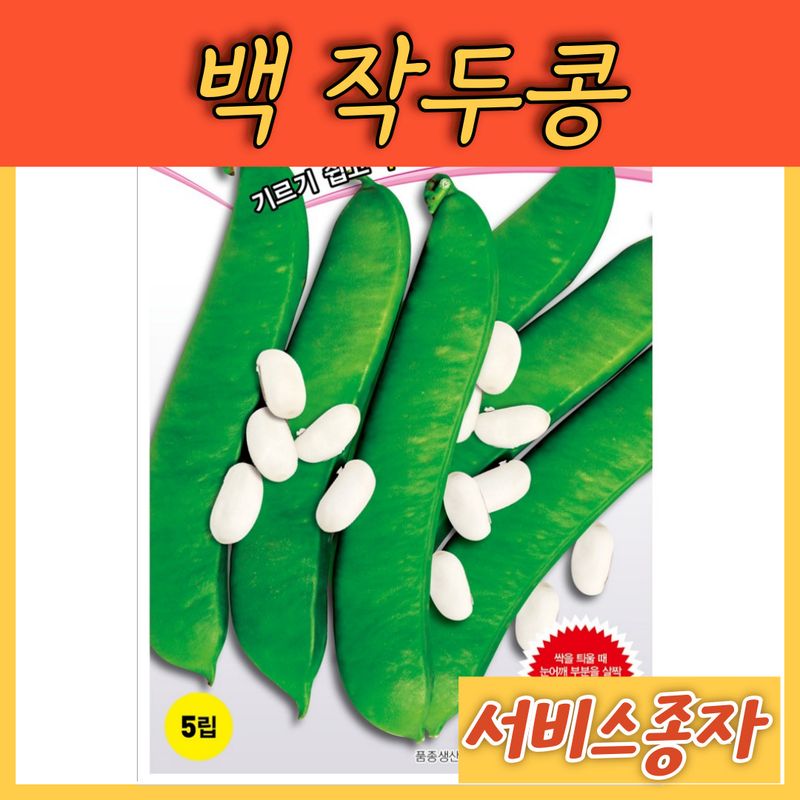 장터 상품 [백도두 작두콩 5립 ] 썸네일
