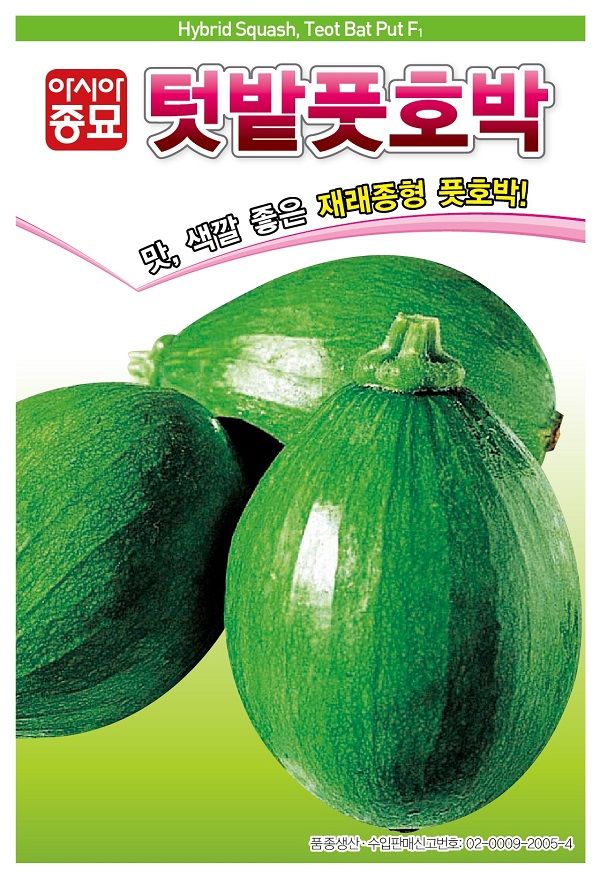 씨앗드림님의 장터 판매 상품 [풋호박 애호박 30립] 첨부 사진