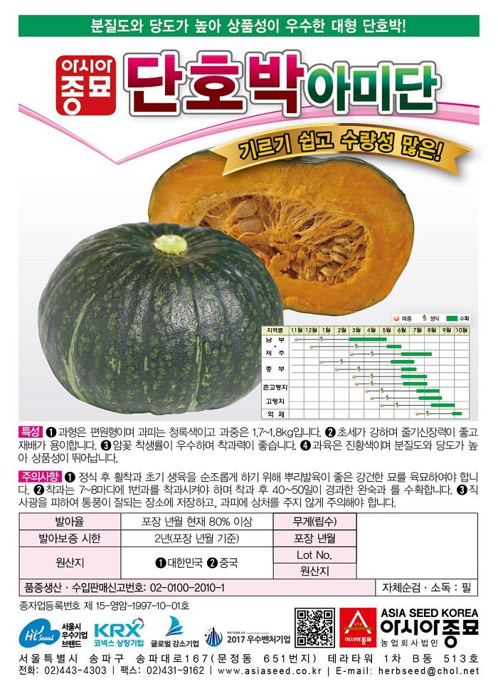 씨앗드림님의 장터 판매 상품 [대형 단호박 밤호박 아미단 40립] 첨부 사진