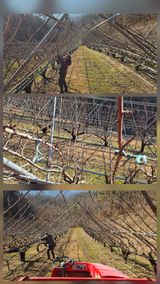 팜모닝 자유주제·자유게시판 게시글 이미지