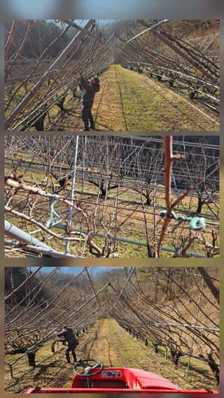 박영옥님의 자유주제 · 자유게시판 작성글 사진