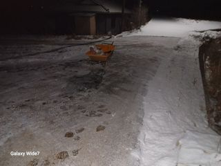 바위돌 심재성님의 기타작물 · 영농일지 작성글 사진