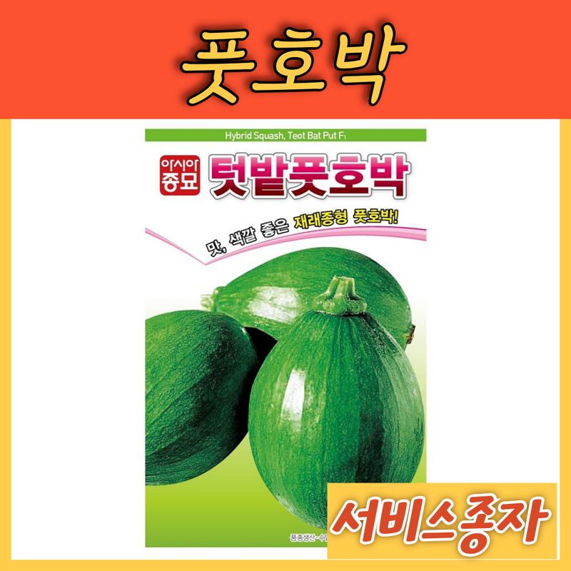 장터 상품 [풋호박 애호박 30립] 썸네일