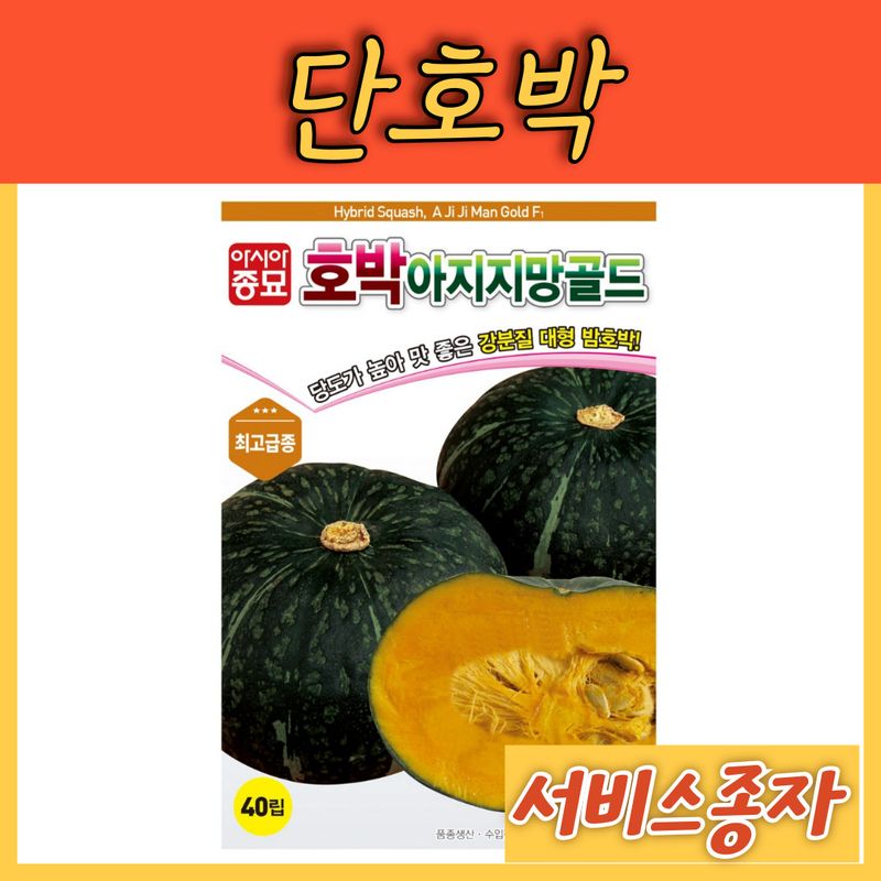 장터 상품 [대형 단호박 아지지망골드 40립] 썸네일
