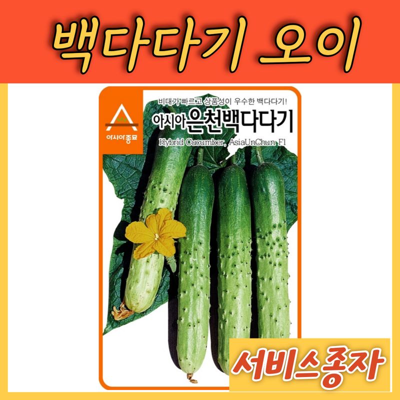 장터 상품 [백다다기 오이 50립] 썸네일