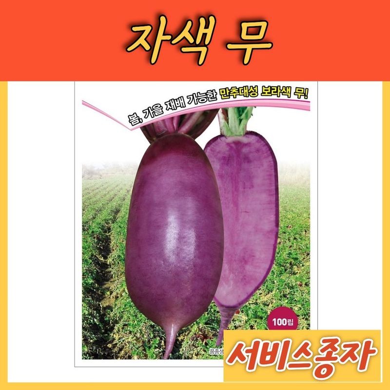 장터 상품 [자색무 사계절용 100립] 썸네일