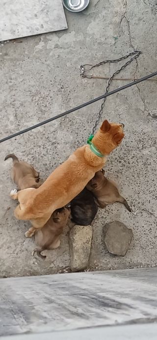 초보퍼머5도2촌준비님의 자유주제 · 자유게시판 작성글 사진