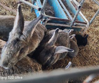 상추6475님의 자유주제 · 자유게시판 작성글 사진