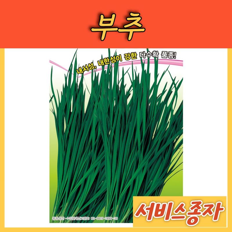 장터 상품 [부추 차이나벨트 20그램] 썸네일