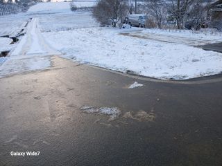 바위돌 심재성님의 배추 · 영농일지 작성글 사진