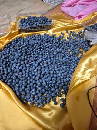 귤19190님의 작성글 사진