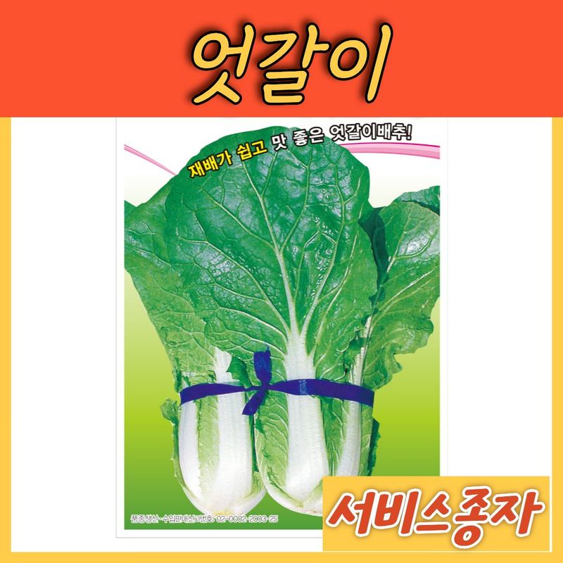 장터 상품 [마트엇갈이 얼갈이 20그램] 썸네일