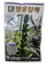 팜모닝 · 게시글 이미지