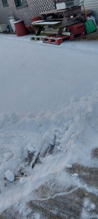 낙엽교목류15665님의 자유주제 · 자유게시판 작성글 사진