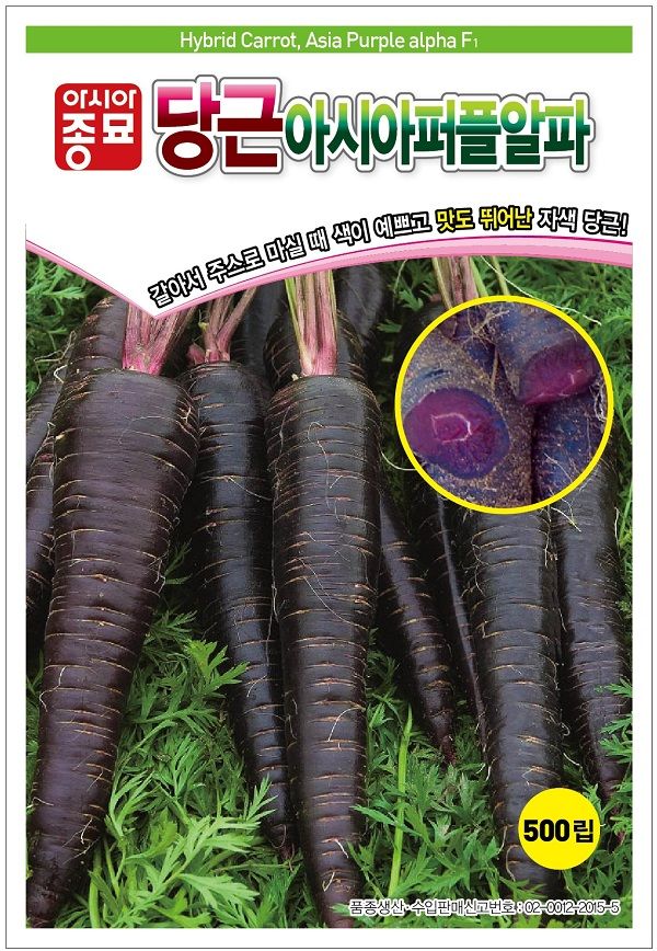 씨앗드림님의 장터 판매 상품 [자색 당근 500립] 첨부 사진