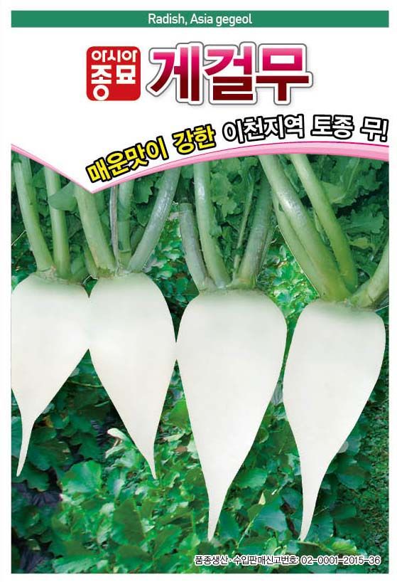 씨앗드림님의 장터 판매 상품 [게걸무 300립] 첨부 사진