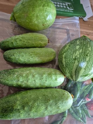 귤19190님의 작성글 사진