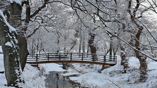 이정운님의 자유주제·자유게시판 작성글 사진