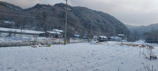 낙엽교목류15665님의 자유주제 · 자유게시판 작성글 사진