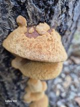 팜모닝 자유주제·자유게시판 게시글 이미지