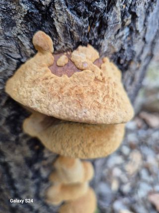 박성균님의 자유주제 · 자유게시판 작성글 사진