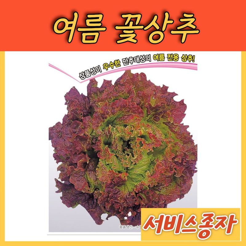 장터 상품 [여름 꽃상추 3000립] 썸네일