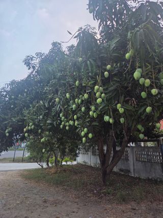 최동수님의 자유주제 · 자유게시판 작성글 사진