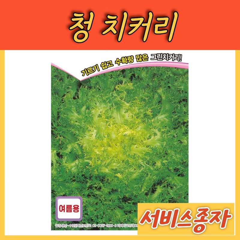 장터 상품 [청치커리 여름용 1500립] 썸네일