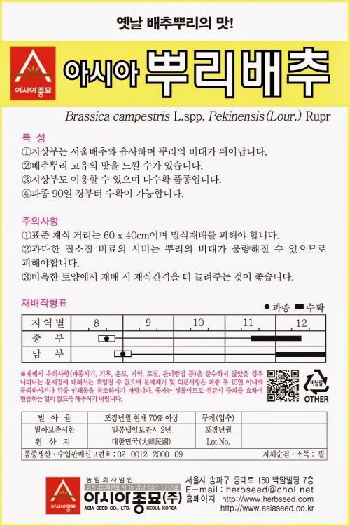 씨앗드림님의 장터 판매 상품 [뿌리배추 2000립] 첨부 사진