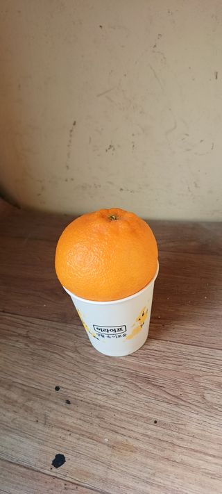 김수나님의 작성글 사진