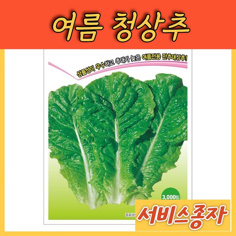 장터 상품 [여름 청상추 3000립] 썸네일