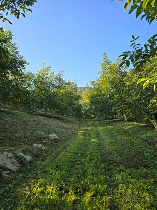 형제들농원님의 자유주제 · 자유게시판 작성글 사진