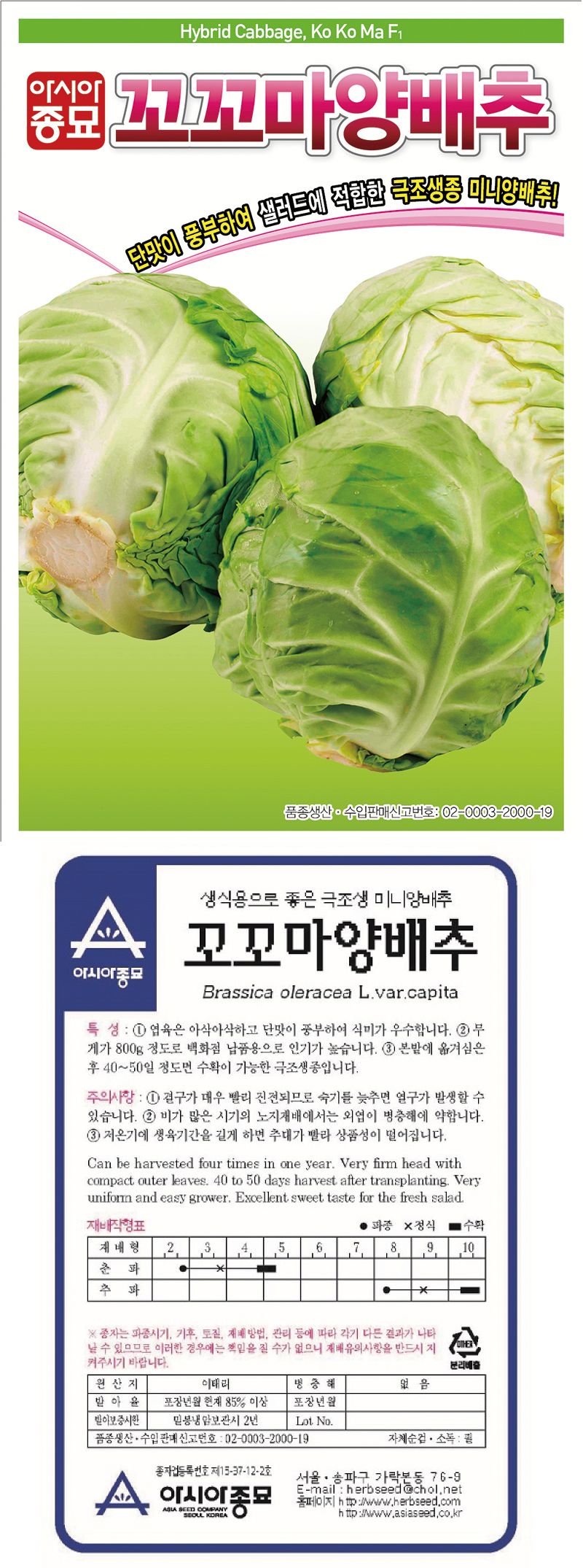 씨앗드림님의 장터 판매 상품 [꼬꼬마 소형 양배추 100립] 첨부 사진