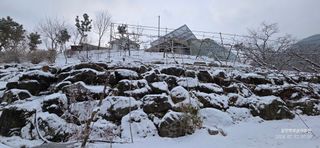 달맛햇복숭아농원님의 자유주제 · 사진전 작성글 사진