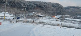 낙엽교목류15665님의 자유주제 · 자유게시판 작성글 사진