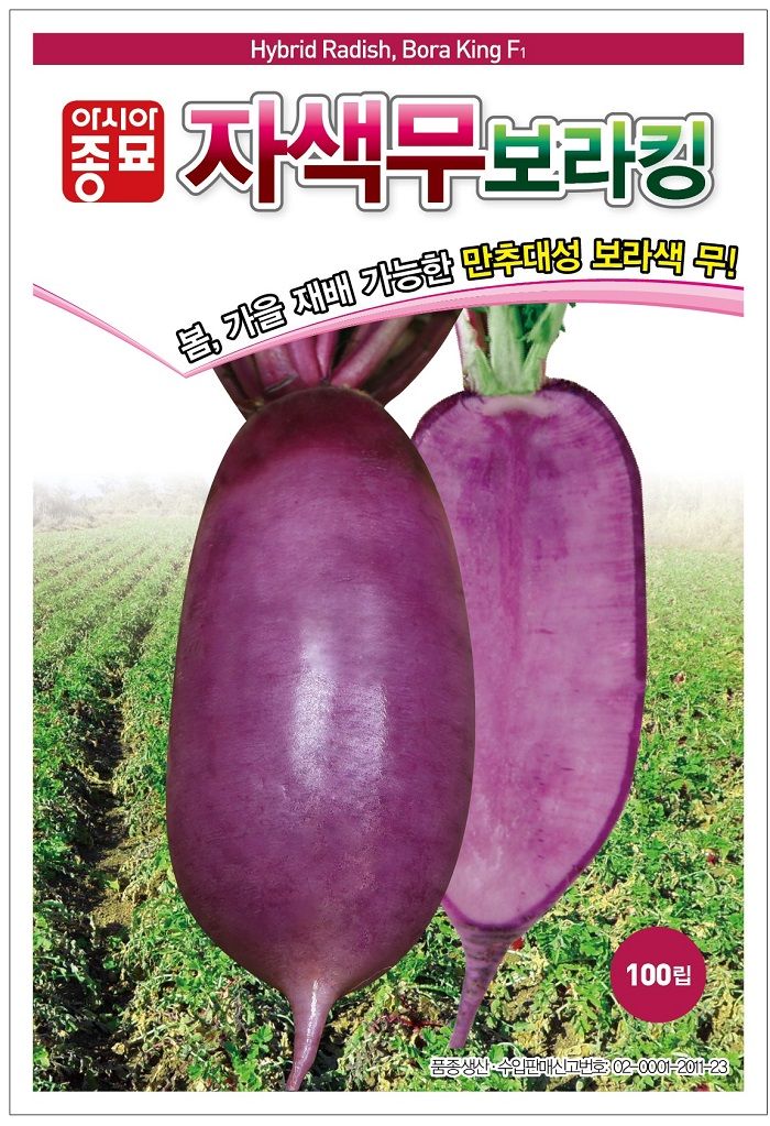 씨앗드림님의 장터 판매 상품 [자색무 사계절용 100립] 첨부 사진