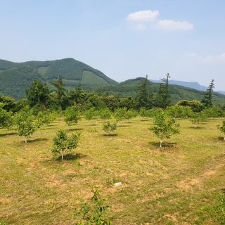 형제들농원님의 자유주제 · 자유게시판 작성글 사진