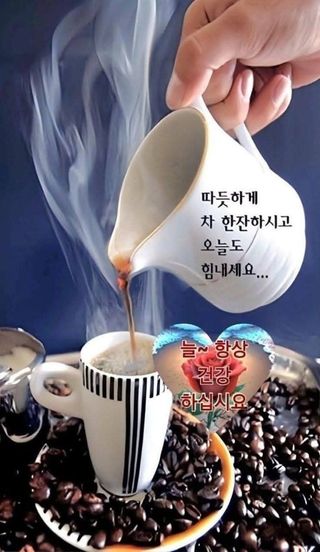 MSG0074님의 자유주제 · 자유게시판 작성글 사진