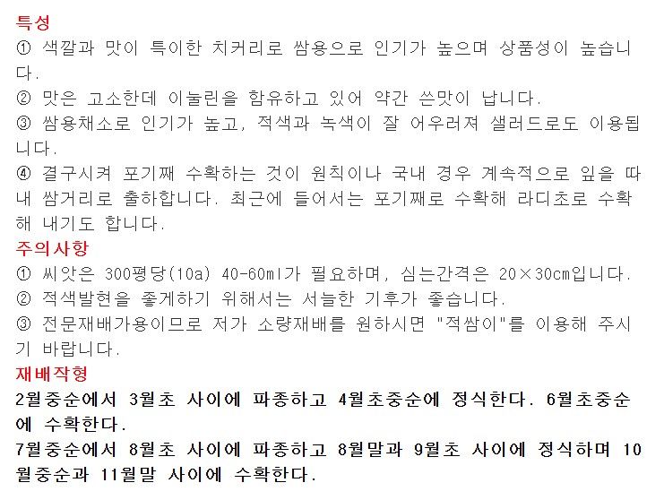 씨앗드림님의 장터 판매 상품 [불꽃 치커리 전문농가용 10그램] 첨부 사진