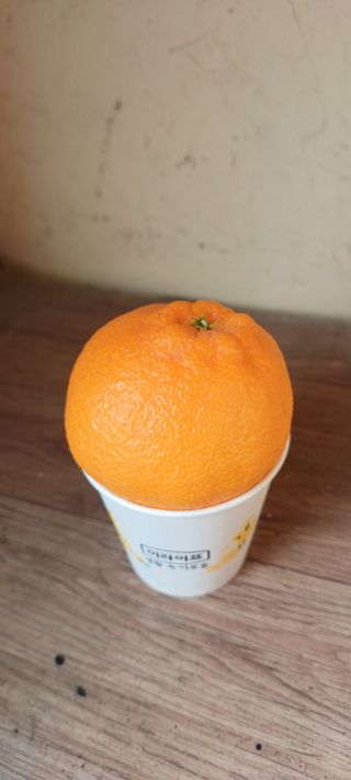 김수나님의 작성글 사진