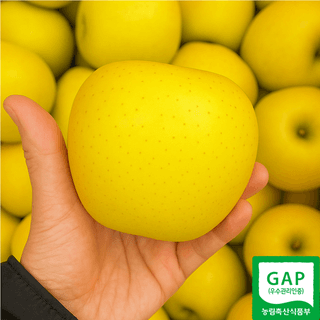 김태혁님의 자유주제 · 자유게시판 작성글 사진