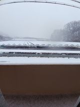 팜모닝 자유주제·자유게시판 게시글 이미지