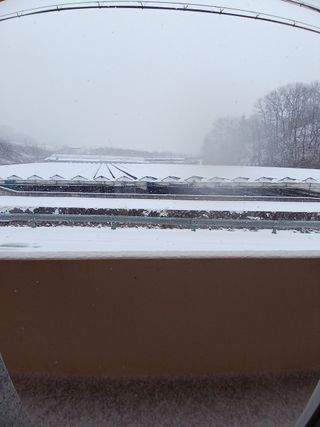 이영자 님의 자유주제 · 자유게시판 작성글 사진