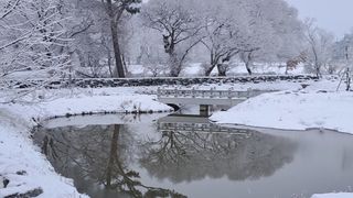 이정운님의 자유주제 · 자유게시판 작성글 사진